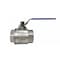 Raines 2'' Stainless Steel Ball Valve, Lockable 2-SS-BV100 - alternate 2